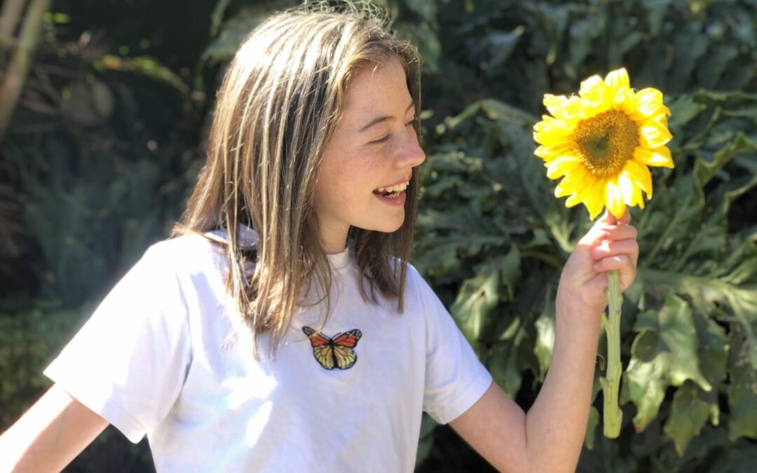 A lesson from the Sunflower