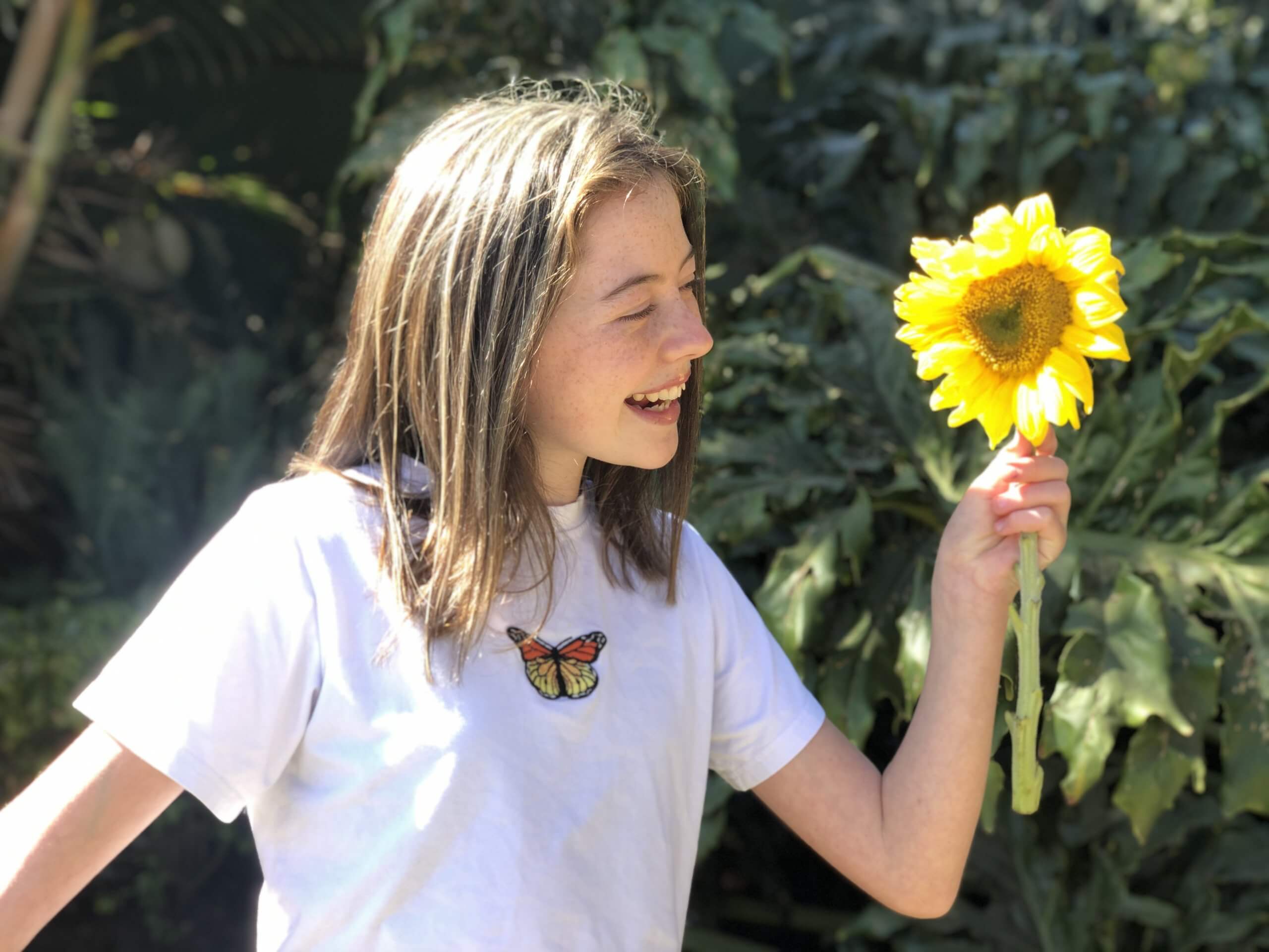 A lesson from the Sunflower
